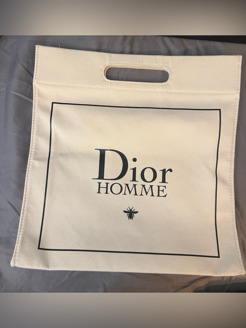 Christian Dior HOMME Tote Bag Canvas Ivory "13.5×12.7 inc" Authentic